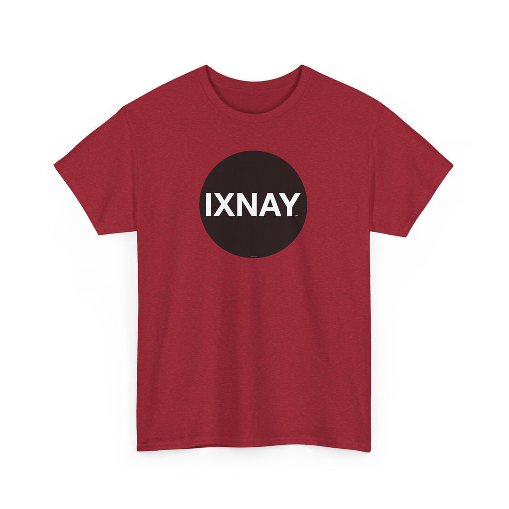 IXNAY Original Logo Organic T-Shirt - USA